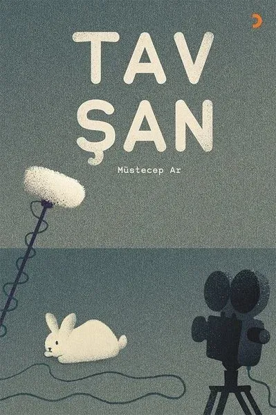 Tavşan