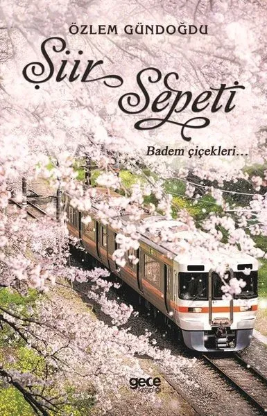 Şiir Sepeti 2