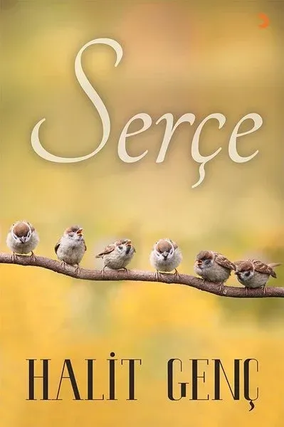 Serçe