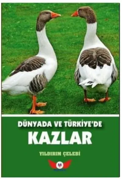 Dünyada ve Türkiye'de Kazlar
