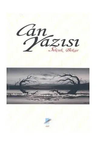 Can Yazısı