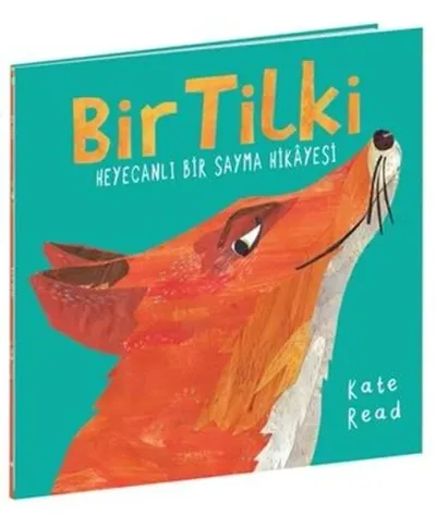 Bir Tilki