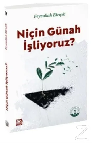 Niçin Günah İşliyoruz? Feyzullah Birışık