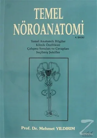 Temel Nöroanatomi