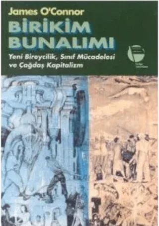 Birikim Bunalımı