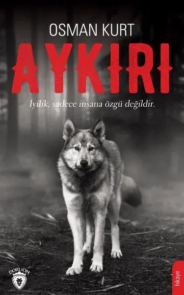 Aykırı