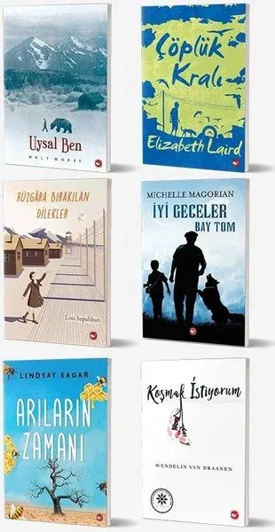 Okullarda Okutulan 8. Sınıf Kitap Seti (6 Kitap Takım)