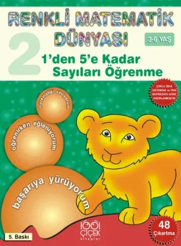 Renkli Matematik Dünyası 2