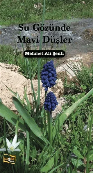 Su Gözünde Mavi Düşler