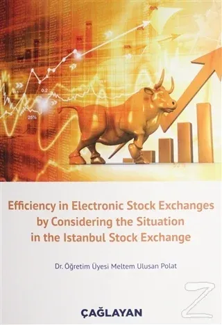 Efficiency in Electronic Stock Exchanges by Considering the Situation in the Istanbul Stock Exchange