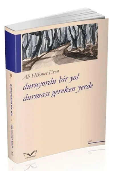 Duruyordu Bir Yol Durmasi Gereken Yerde