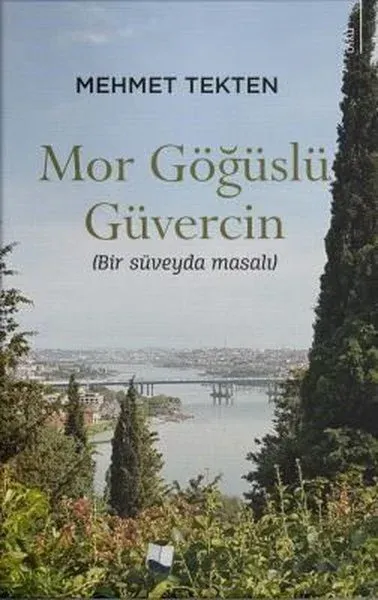 Mor Göğüslü Güvercin - Bir Süveyda Güvercini
