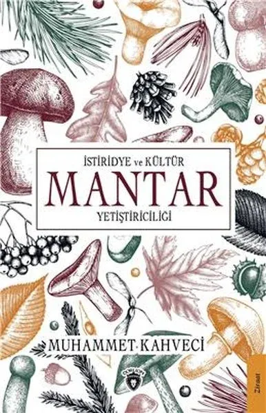 İstiridye ve Kültür Mantar Yetiştiriciliği