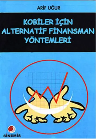 Kobiler İçin Alternatif Finansman Yöntemleri