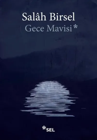Gece Mavisi Salah Birsel