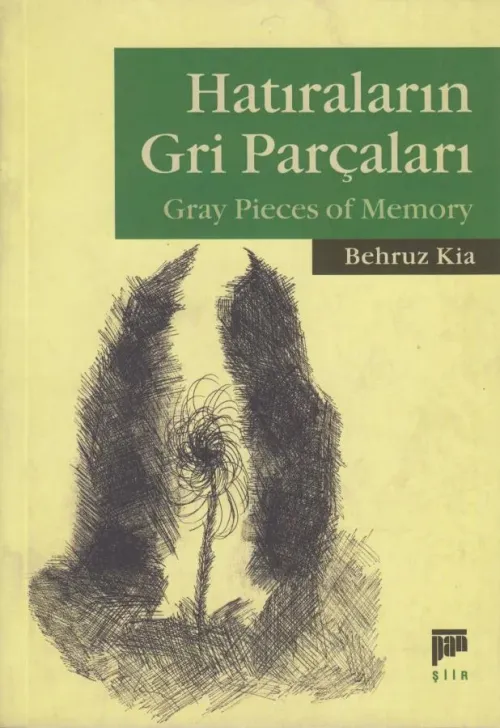 Hatıraların Gri Parçaları