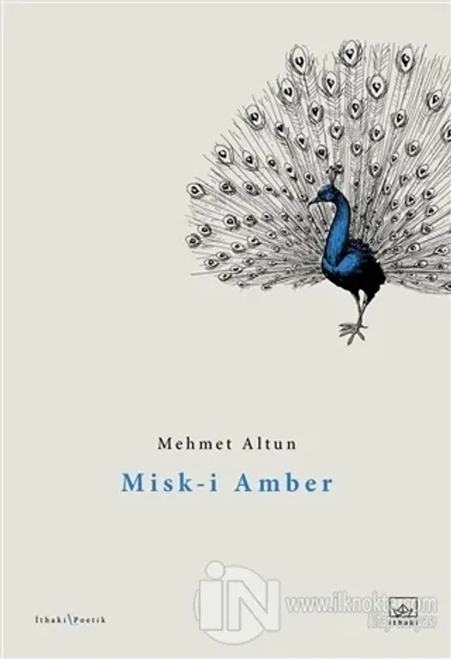 Misk-i Amber