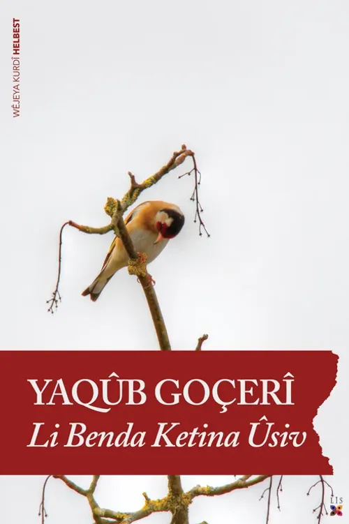 LI BENDA KETINA ÛSIV