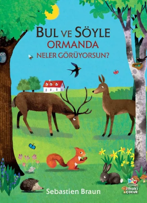 Bul ve Söyle/Ormanda Neler Görüyorsun?