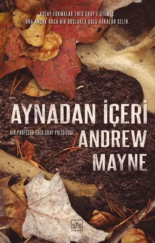 Aynadan İçeri