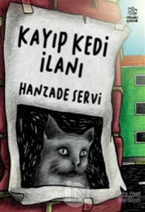 Kayıp Kedi İlanı