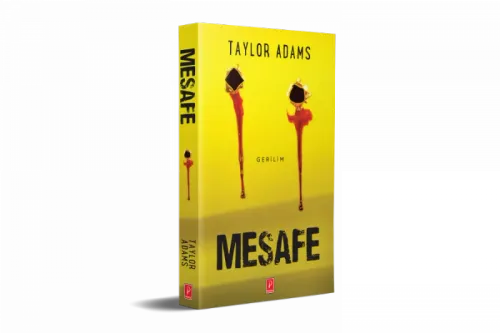 Mesafe - kitap Taylor Adams