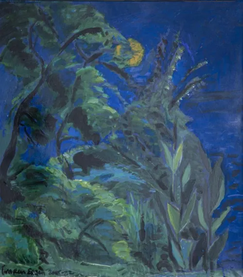Bahçemde Gece