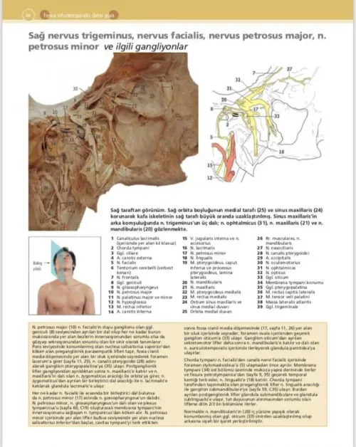 McMinn & Abrahams İnsan Anatomisi Klinik Atlası - kitap Can PELİN