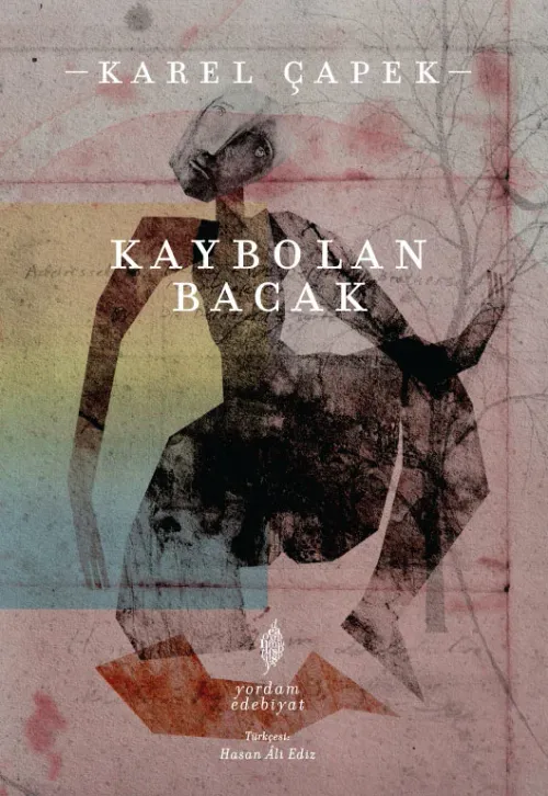 KAYBOLAN BACAK
