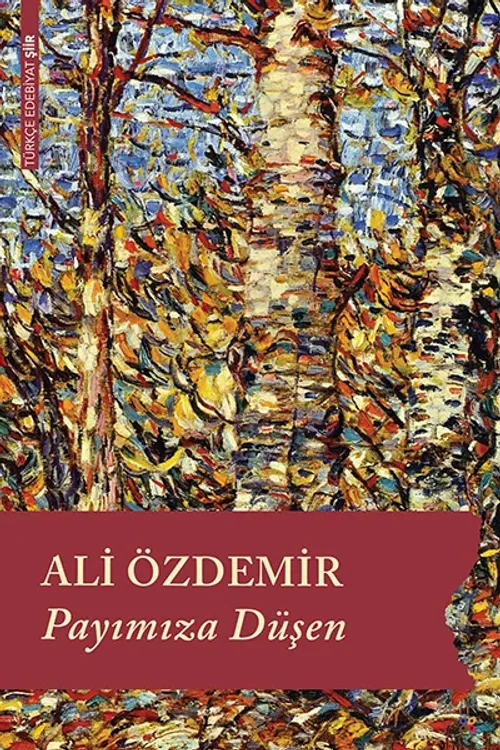 PAYIMIZA DÜŞEN