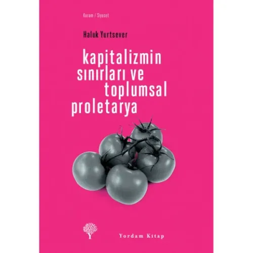 KAPİTALİZMİN SINIRLARI VE TOPLUMSAL PROLETARYA