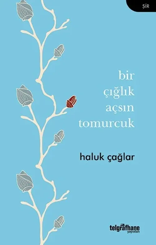 Bir Çığlık Açsın Tomurcuk