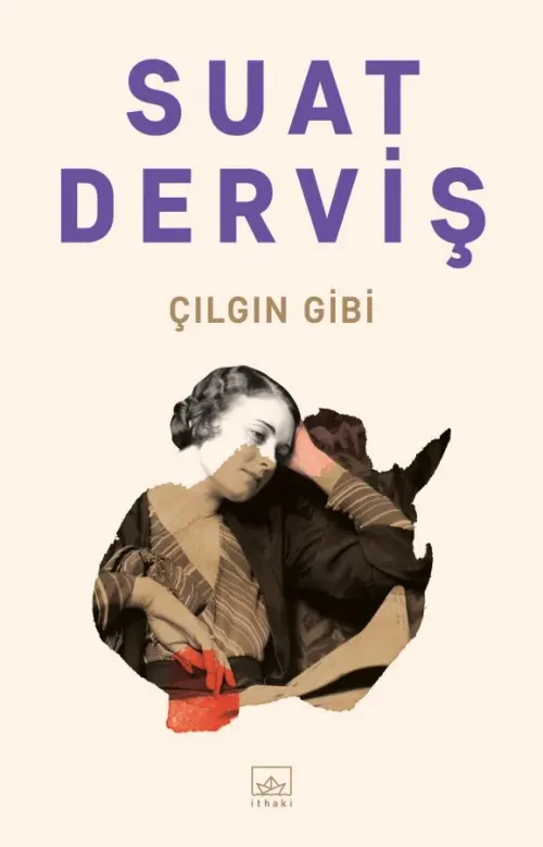 Çılgın Gibi - kitap Suat Derviş