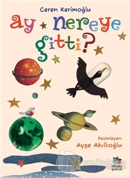 Ay Nereye Gitti?