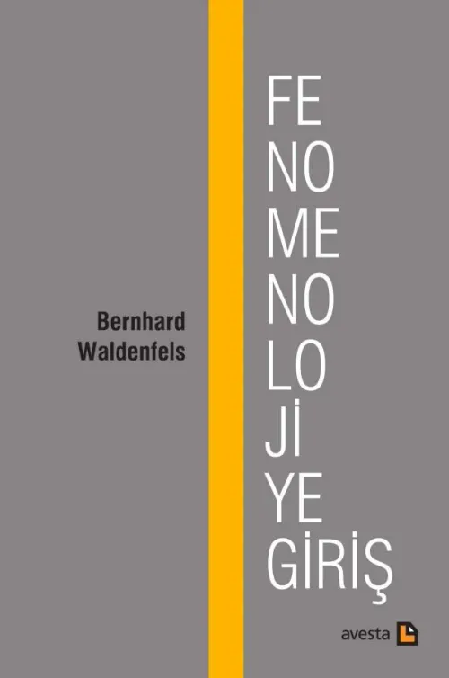 FENOMENOLOJİYE GİRİŞ