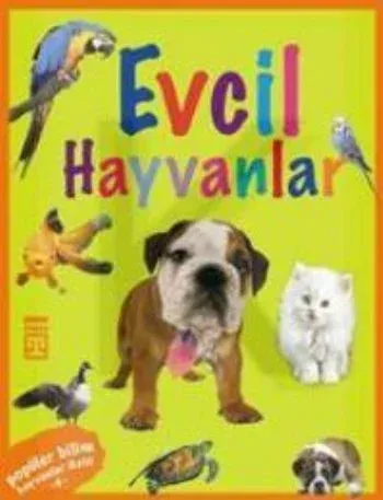 Hayvanlar Dizisi - Gökyüzündeki Canlılar