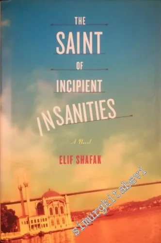 The Saint of Incipient Insanities: A Novel -        2004