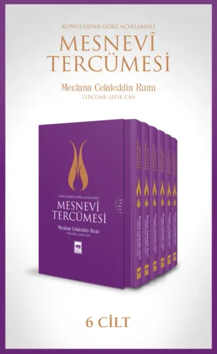 Mesnevi Tercümesi
