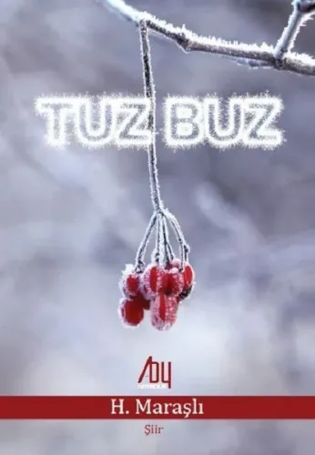 Tuz Buz