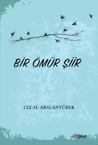 Bir Ömür Şiir