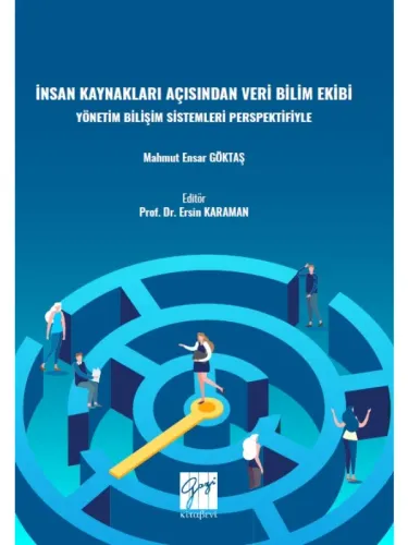 İnsan Kaynakları Açısından Veri Bilimi Ekibi Yönetim Bilişim Sistemleri Perspektifiyle