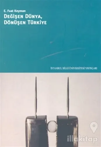 Değişen Dünya, Dönüşen Türkiye