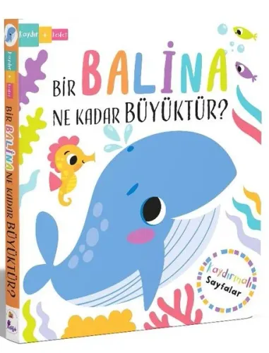 Bir Balina Ne Kadar Büyüktür?