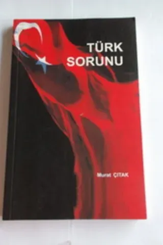 Türk Sorunu