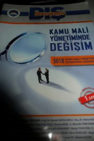 Denetim Düşünceleri Platformu 2010 / 1