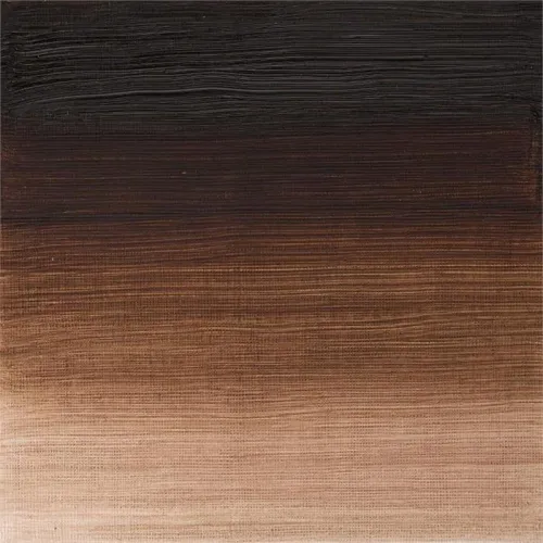 Winsor Newton Winton Yağlı Boya 37ml Vandyke Brown