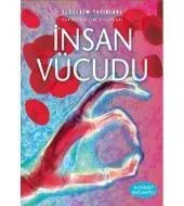 İnsan Vücudu
