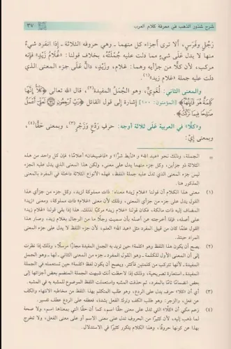 Şerhu Şüzuriz Zeheb شرح شذور الذهب Ebu Muhammed Cemaleddin Abdullah b.
