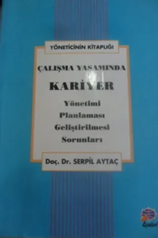 Çalışma Yaşamında Kariyer