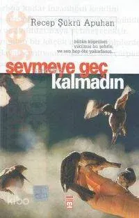 Sevmeye Geç Kalmadın